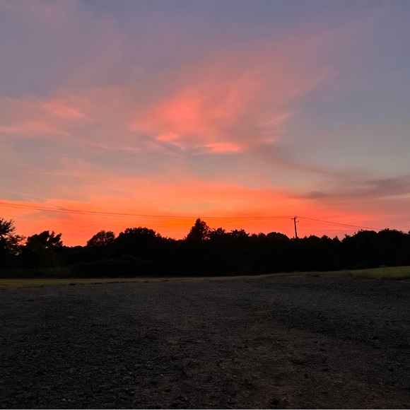 Meet your Posher, Alexis - Picture 2 of 3